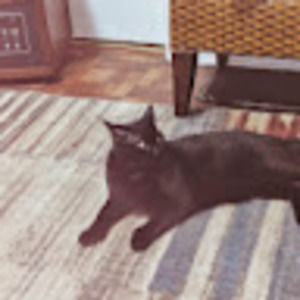 Meet your Posher, Besnik